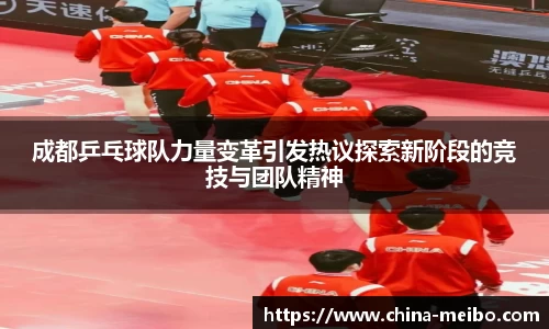 中欧体育