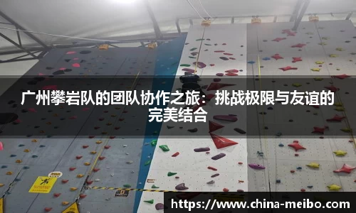 中欧体育官网
