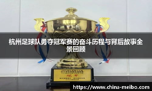 中欧体育APP
